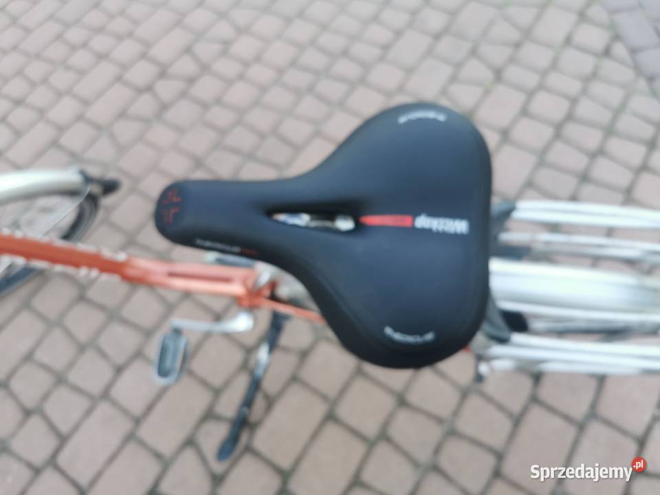 Damka gazelle mazowieckie Mszczonów