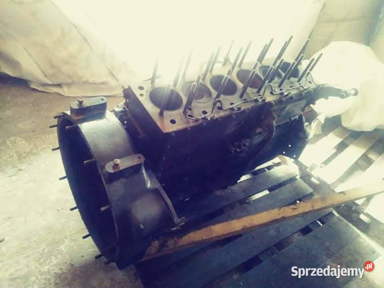Sprzedam silnik do bizona rekord z058 Proszowice