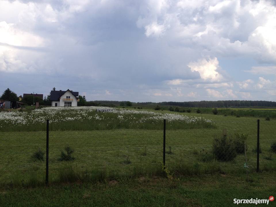 Działka Waszulki wydane warunki zabudowy Nidzica Grunty i działki Dywity sprzedam