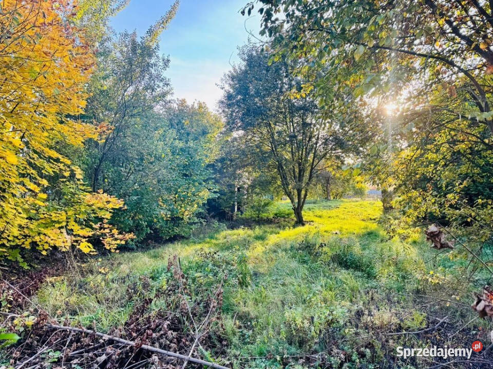 Działka budowlana 1766 m z garażem Niedobczyce Rybnik
