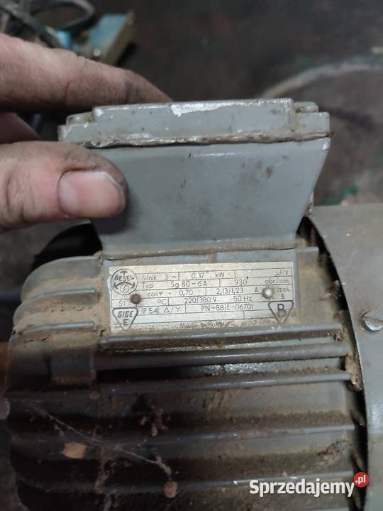 Sortownik do ziemniaków z silnikiem silowym Sortowniki Gołuchów