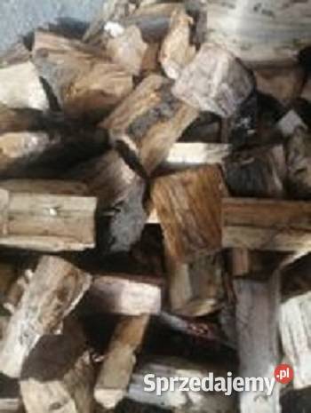 drewno topola suche Tychnowy