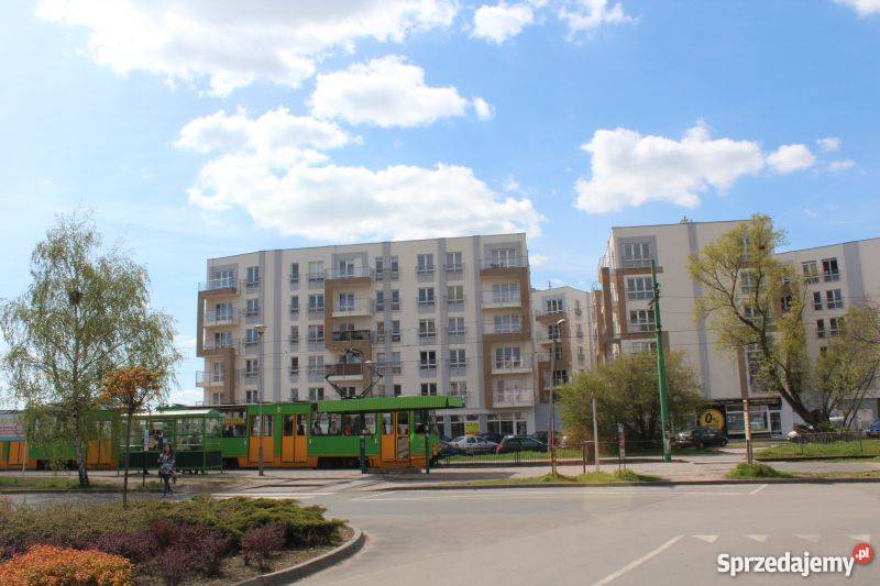 Promocja Milczańska 1