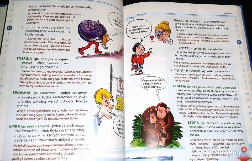 Ilustrowany słownik wyrazów obcych Katarzyna Chełm