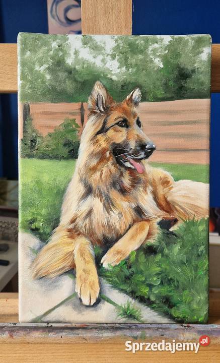 Owczarek niemiecki obraz ręcznie malowany 20x30 małopolskie Męcina