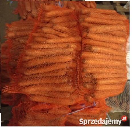 Marchew jadalna zwierząt wielkopolskie sprzedam