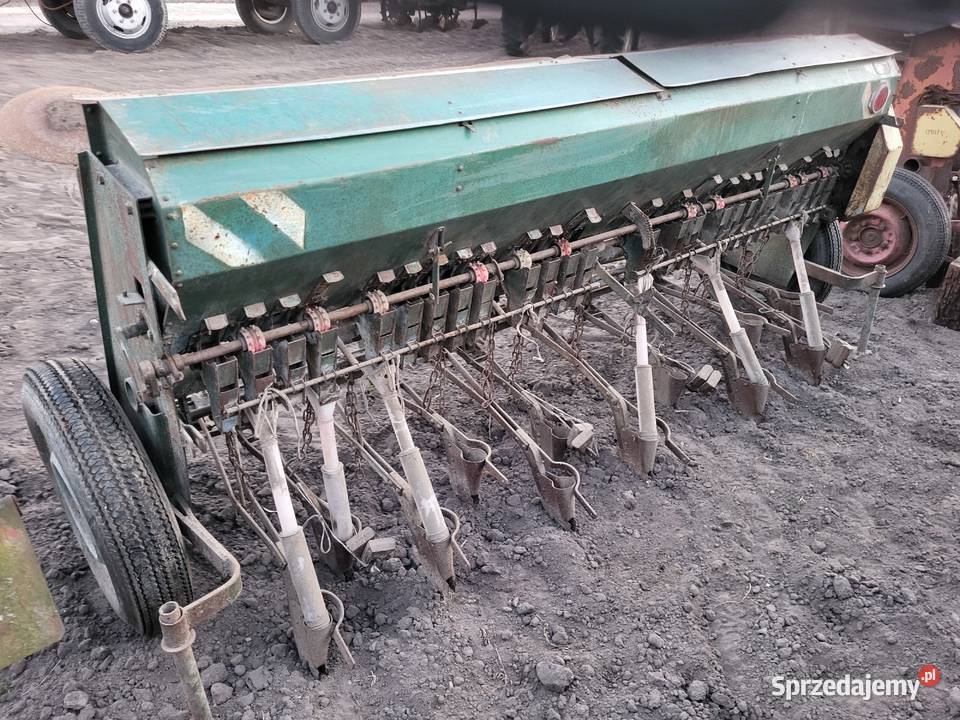 Siewnik poznaniak Miedniewice