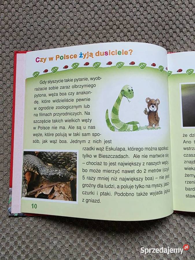 seria Zapytaj Misia o ZWIERZĘTA