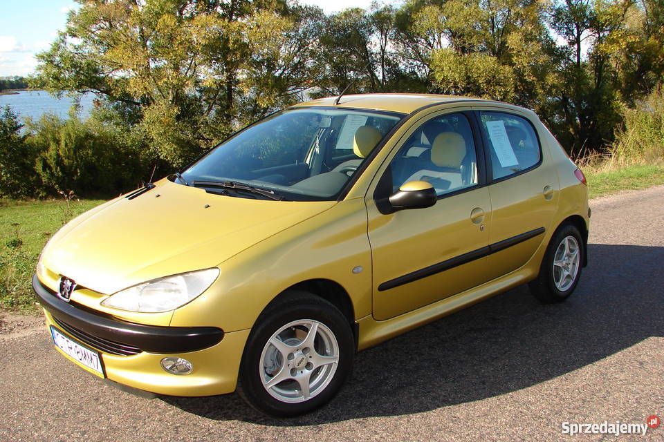 Peugeot 206 14 XLine Salon Polska 107000 immobilizer Steklin