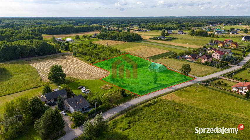 Grunt sprzedam 7000m2 Borek Wielki Króla asfalt