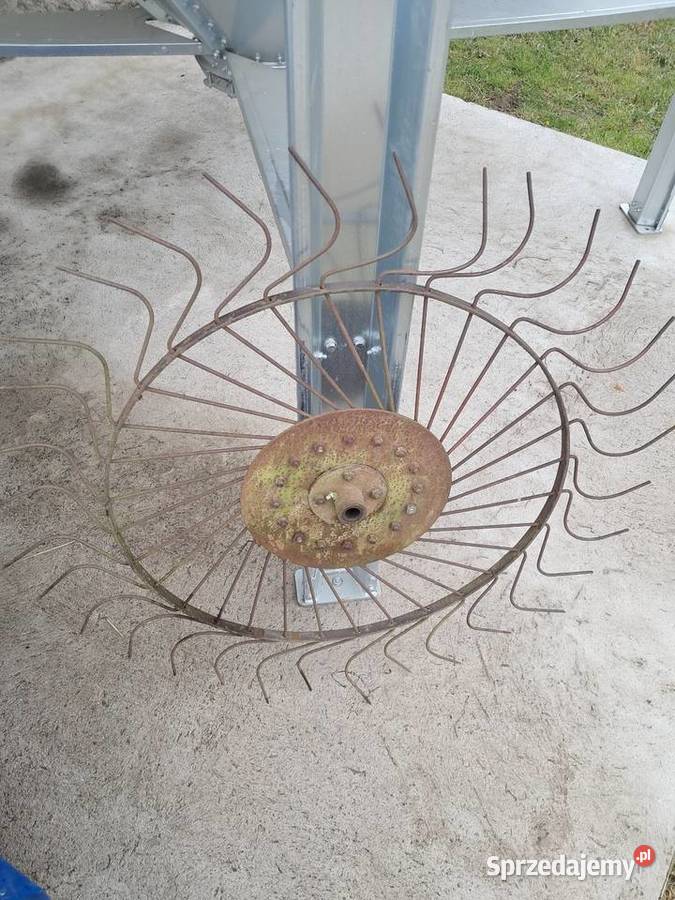 Gwiazda słoneczko zgrabiarki kujawsko-pomorskie Nieżywięć