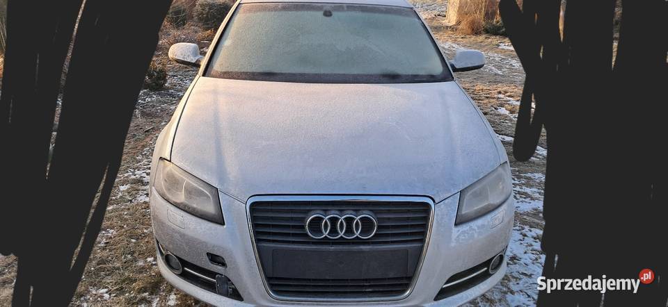 Sprzedam Audi A3 8p Blizanów Drugi