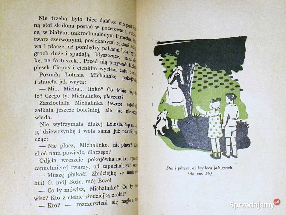 Zuchy Nowe przygody Tomka Modronia 1948 Ewa lubelskie Chełm