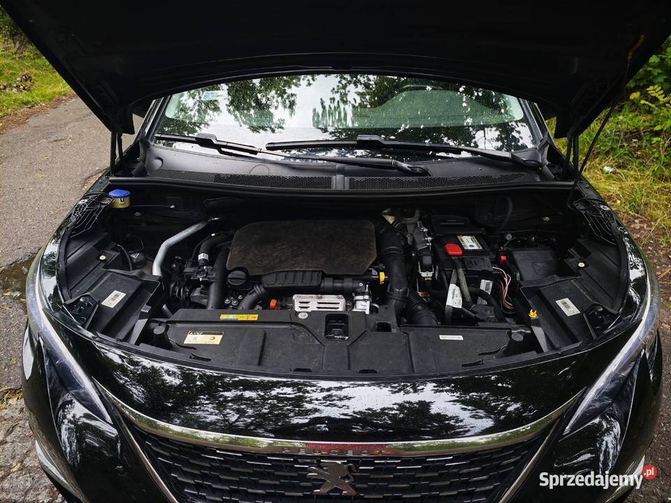 Peugeot 3008 Pierwszy właściciel Krajowy Sosnowiec