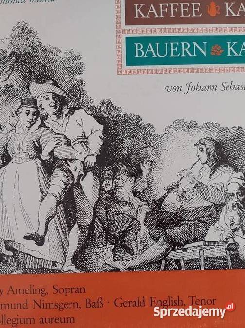 Płyty winylowe Żory