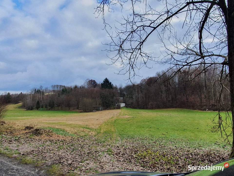 Działka 1677m wąwozie Rzeczyca Kolonia Kazimierz 104zł/m2 Kazimierz Dolny sprzedam