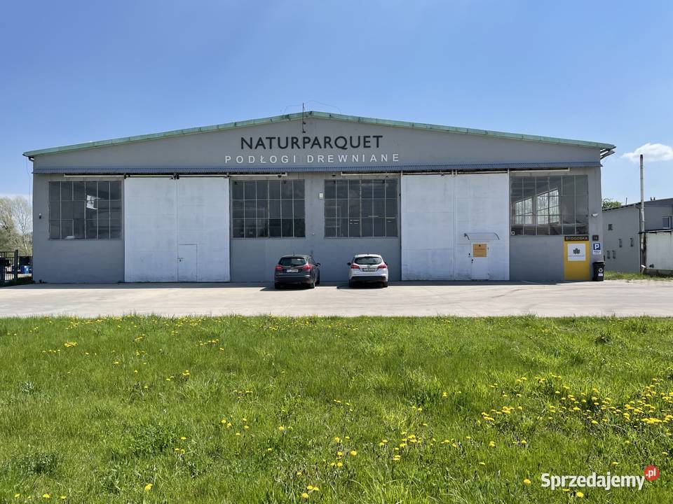 Deska warstwowa dębowa 190 Natur na sklejce 40m2 Poznań sprzedam
