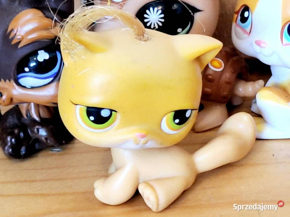 Shorthsir kotek kitka Littlest Pet Shop Hasbro Braniewo sprzedam