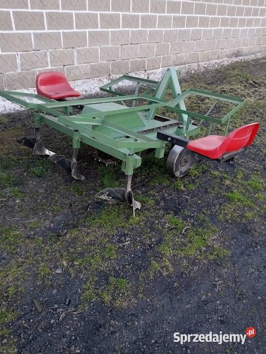 Sadzarka do ziemniaków podkiełkowanych Płońsk