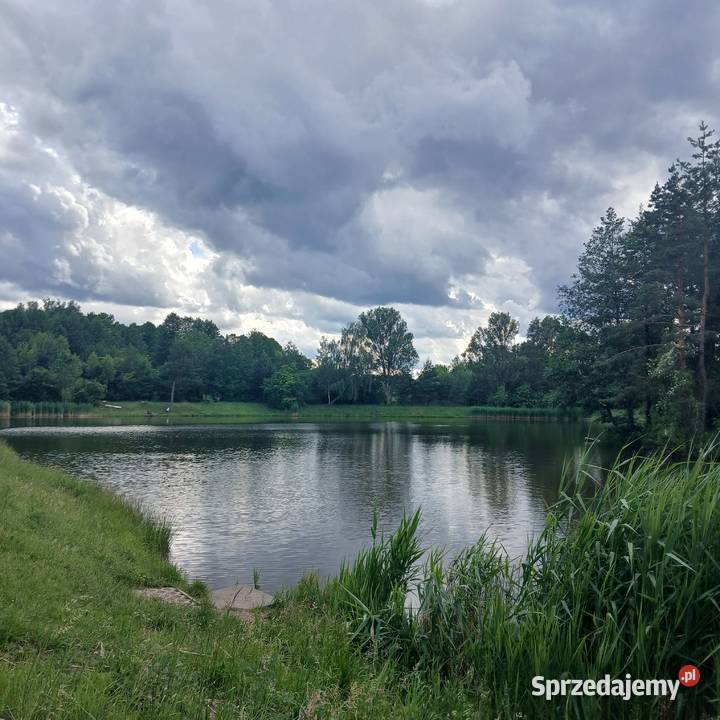 Działka z WZ 1000 m Częstochowa Stradom natura 18m śląskie sprzedam