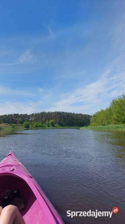 Kajaki rzeką Bug majówka mazowieckie Korczew