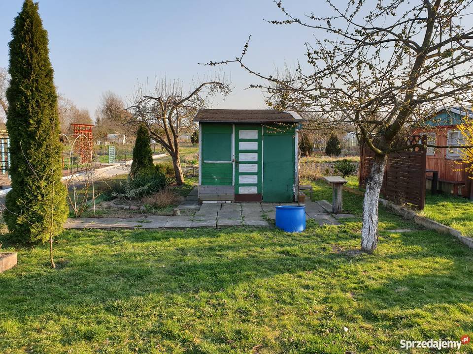 Działka ROD rekreacyjna ogrodowa Dom i Ogród Malbork