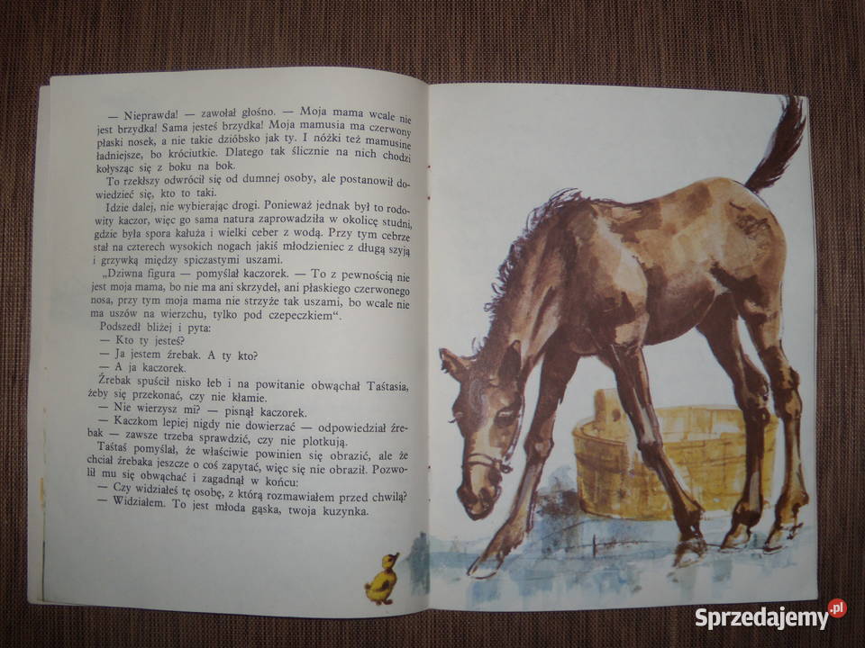 Taś taś Benedykt Hertz Warszawa