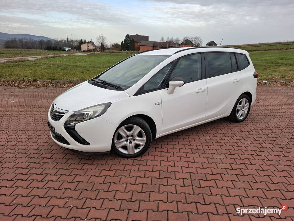 Opel Zafira 14 Benzyna 140Serwis komputer pokładowy Pawłów