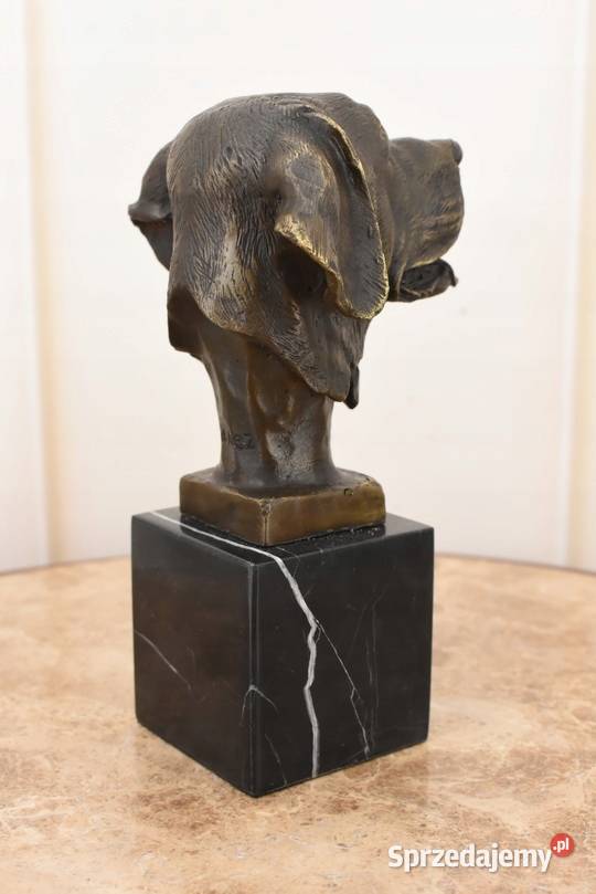 Głowa Pysk Psa Labrador Golden Retriever Figura Kraków