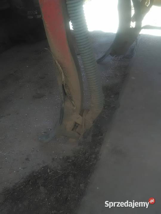 Strip till No till Bezorkowiec Gruber Accord Kikół