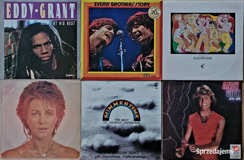 Płyty winylowe na gramofon POP lata 6080te Xx Warszawa