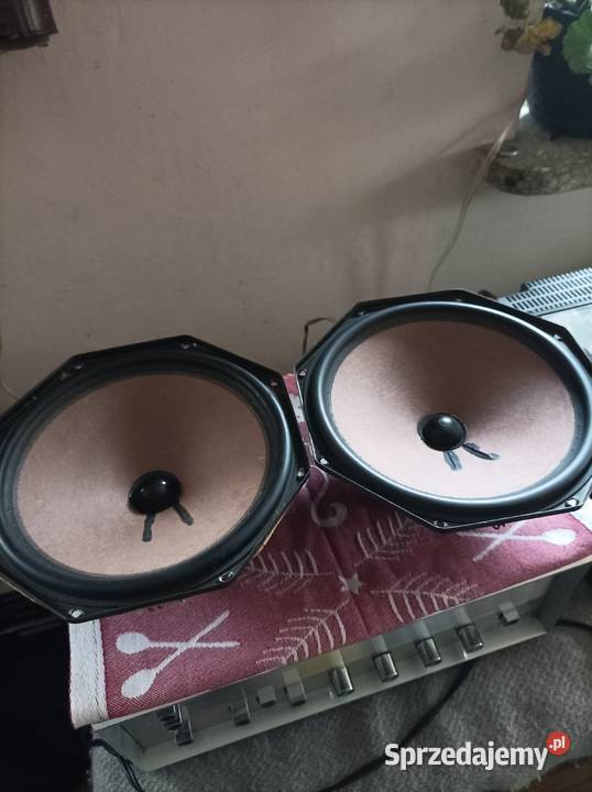 Philips AD 8061 W4 głośniki niskotonowe Płock