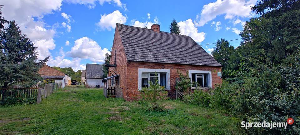 Działka rolnobudowlana 48 arów prąd Sprzedaż Barnówko