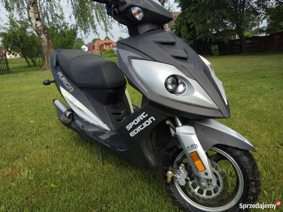 Skuter Kingway Purga 2t 50 l właściciel Kuriany