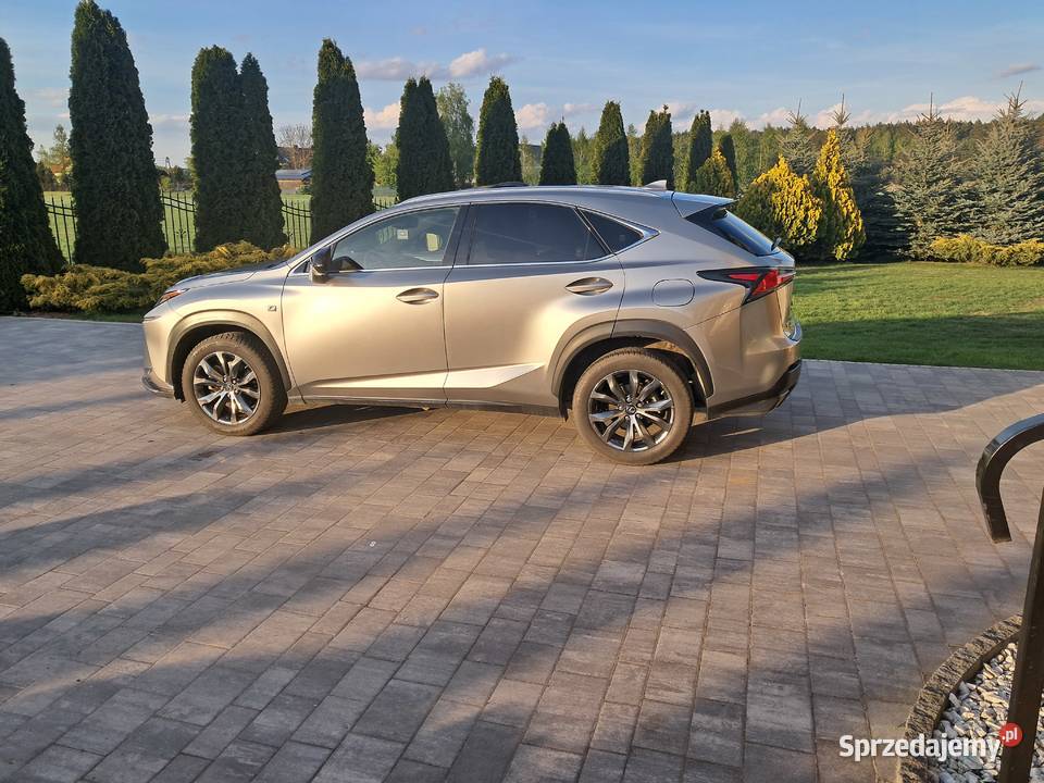 Lexus Nx 300 FSport 2019 2000cm3 mazowieckie Serock