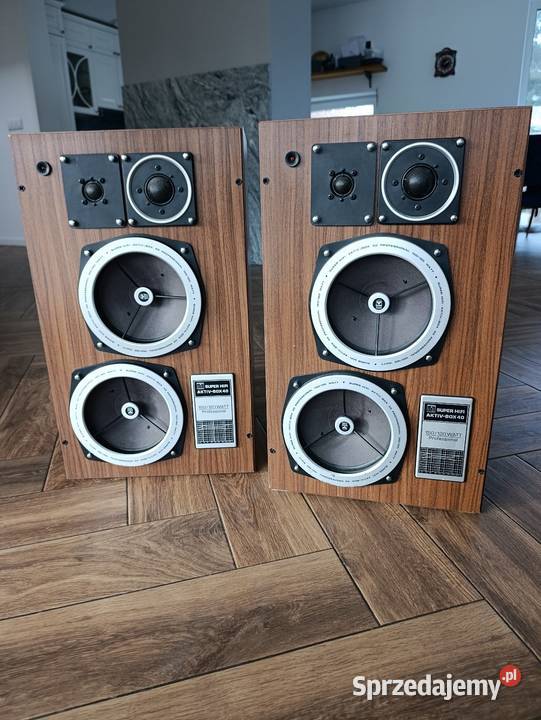 Grundig aktiv box 40 professional Przemków