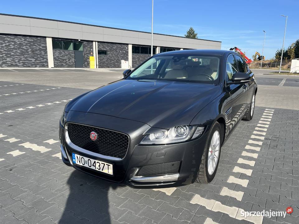 Jaguar XF 2017 zadbany Białystok