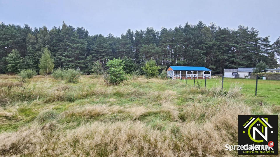 Grunt 1041m2 Kołczewo Sprzedaż zachodniopomorskie