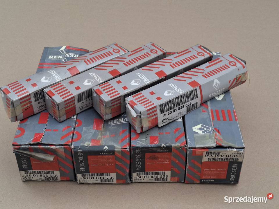 RENAULT MAGNUM 390 430 470 WTRYSK WTRYSKIWACZ Bieleń