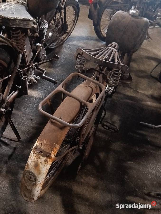 Damski terrot 100 Rok produkcji 1936 Gostycyn