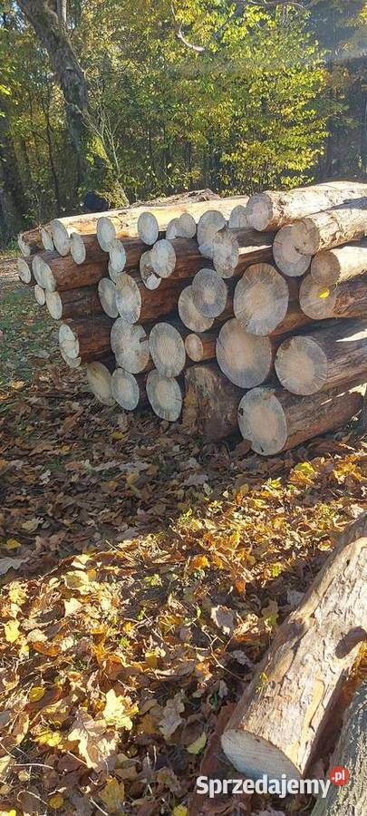 Drewno opałowe sprzedam