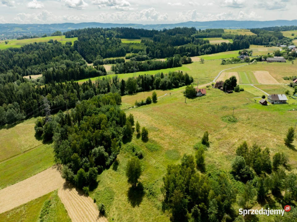 Działka w pełni Budowlana Wysoka gm Jordanów 46m małopolskie