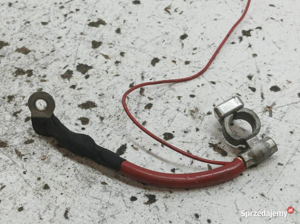 KLEMA PLUS AKUMULATORA Ford Transit Connect II świętokrzyskie