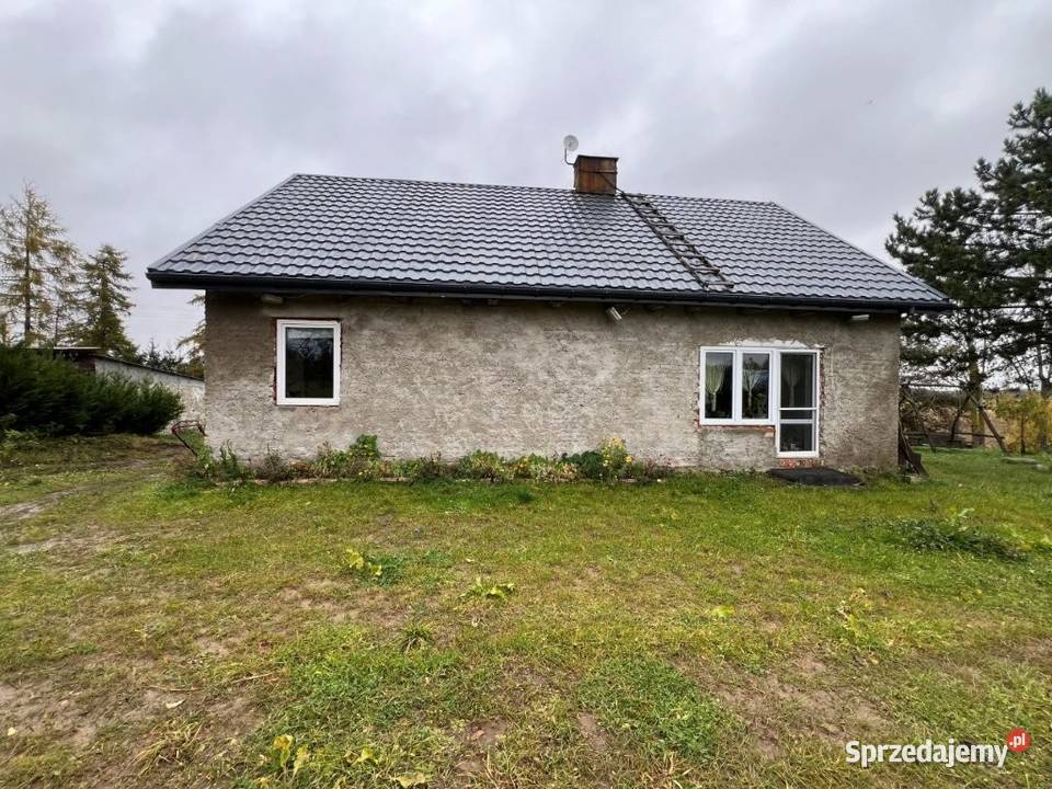 Syndyk sprzeda nieruchomość położoną w Golubkach 9979m2 Golubki