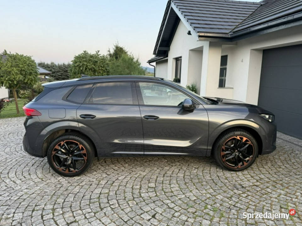 Cupra Terramar Kamienna Góra