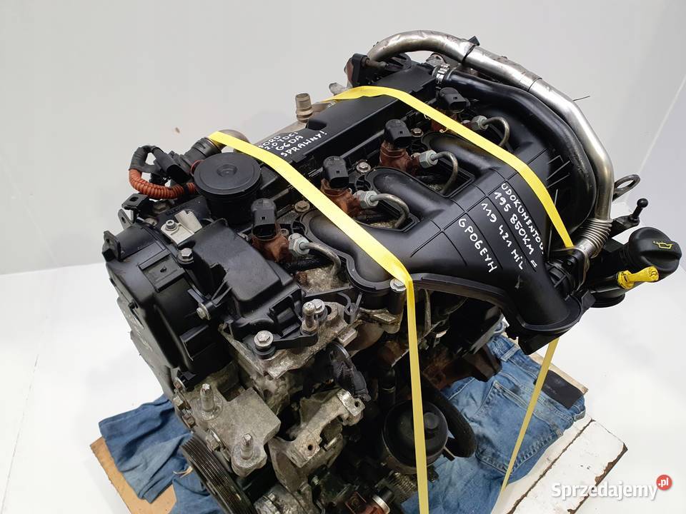 SILNIK G6DA Ford C C 20 TDCI 136 G6DB G6DD G6DG osobowe sprzedam