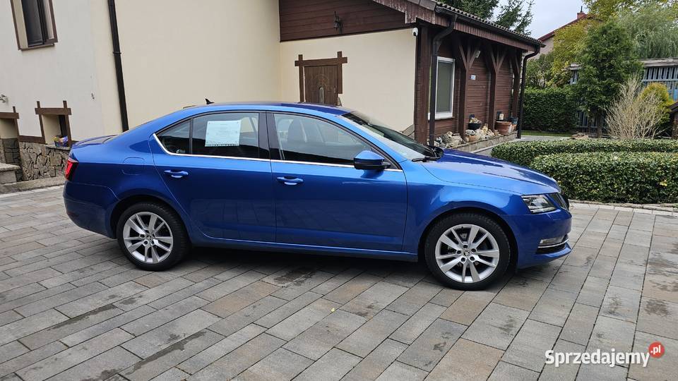 Skoda Octavia 2017r krajowe Kaczory