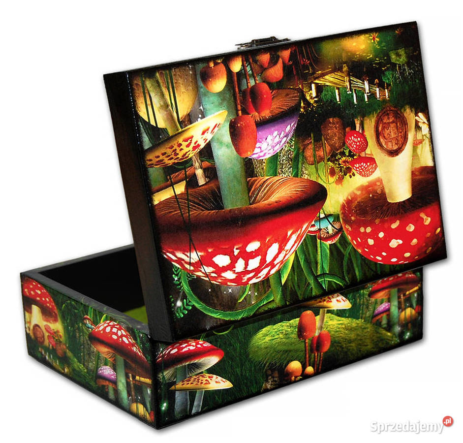 Drewniana SZKATUŁKA pudełko ozdobne MUCHOMORKI kujawsko-pomorskie Bydgoszcz