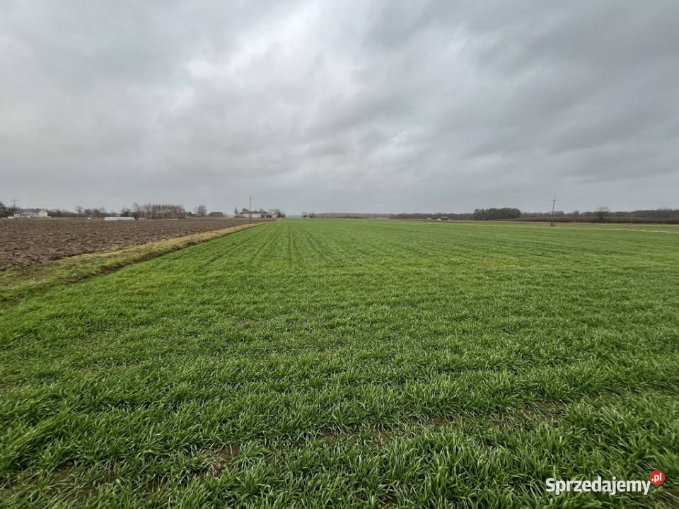 Dziełka z WZ budowlana w Babinie gm Przyłęk mazowieckie Babin