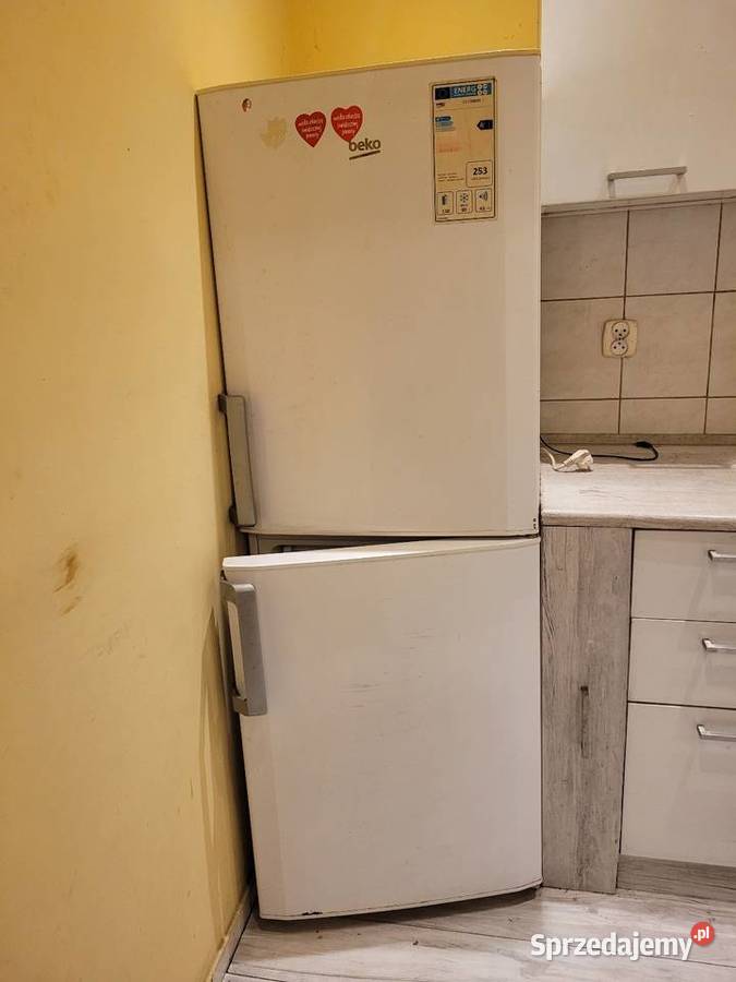 Lodówka Beko wolnostojące Poznań